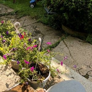 Meet your Posher, Cerenity